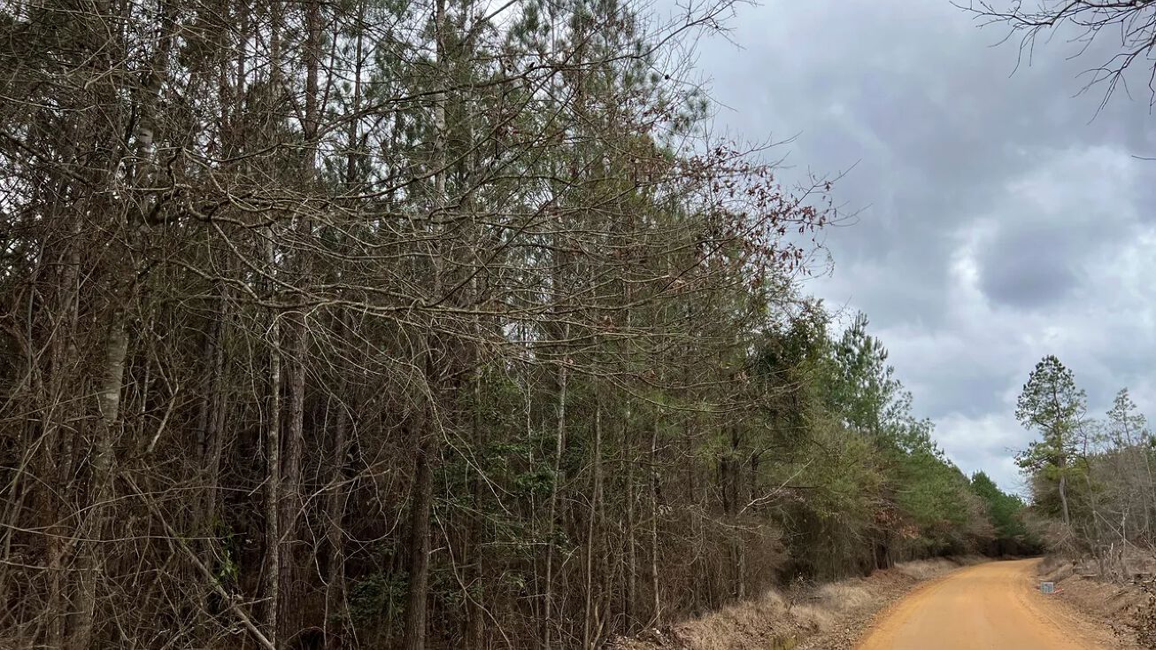 Sparkman East 25, Manning, AR 71763