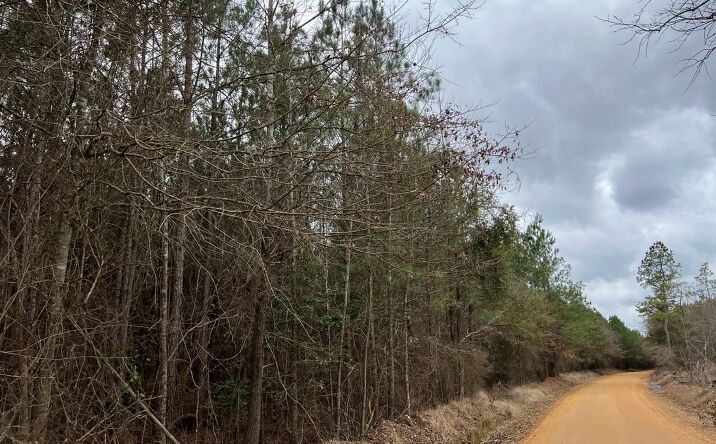 Pictures of Land property located at Sparkman East 25, Manning, AR 71763 for sales - image #1
