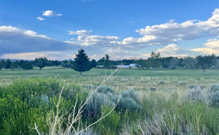 Pictures of Land property located at 714 Olive Glenn Dr, Cody, WY 82414 for sales - image #1