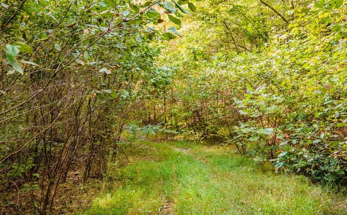 Pictures of Land property located at Bandy South East, Little Rock, AR 72223 for sales - image #1
