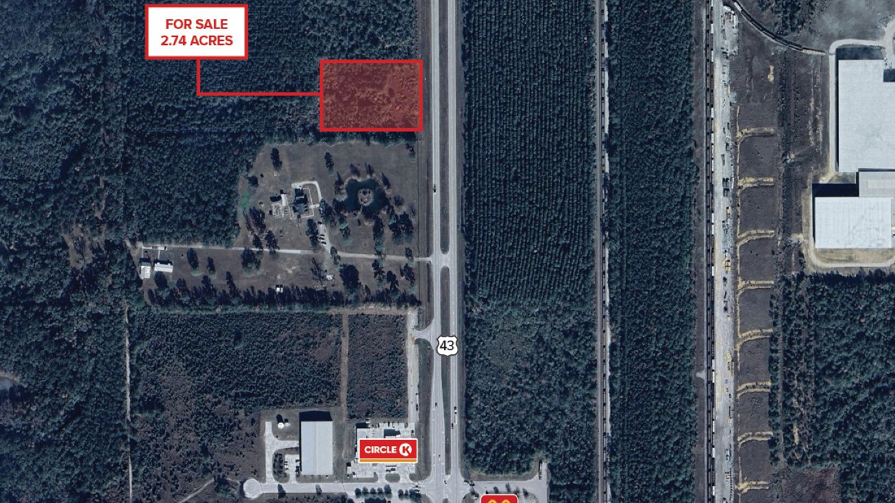 Pictures of Land property located at 21051 US 43, Mount Vernon, AL 36560 for sales - image #1