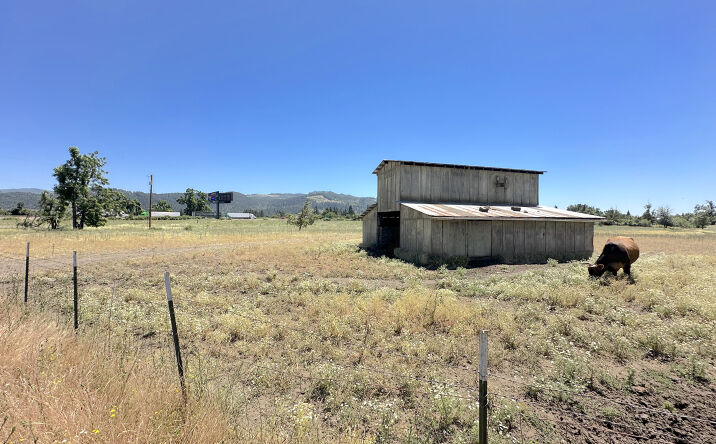 Pictures of Land, Mixed Use property located at 82815 S Mill St, Creswell, OR 97426 for sales - image #1