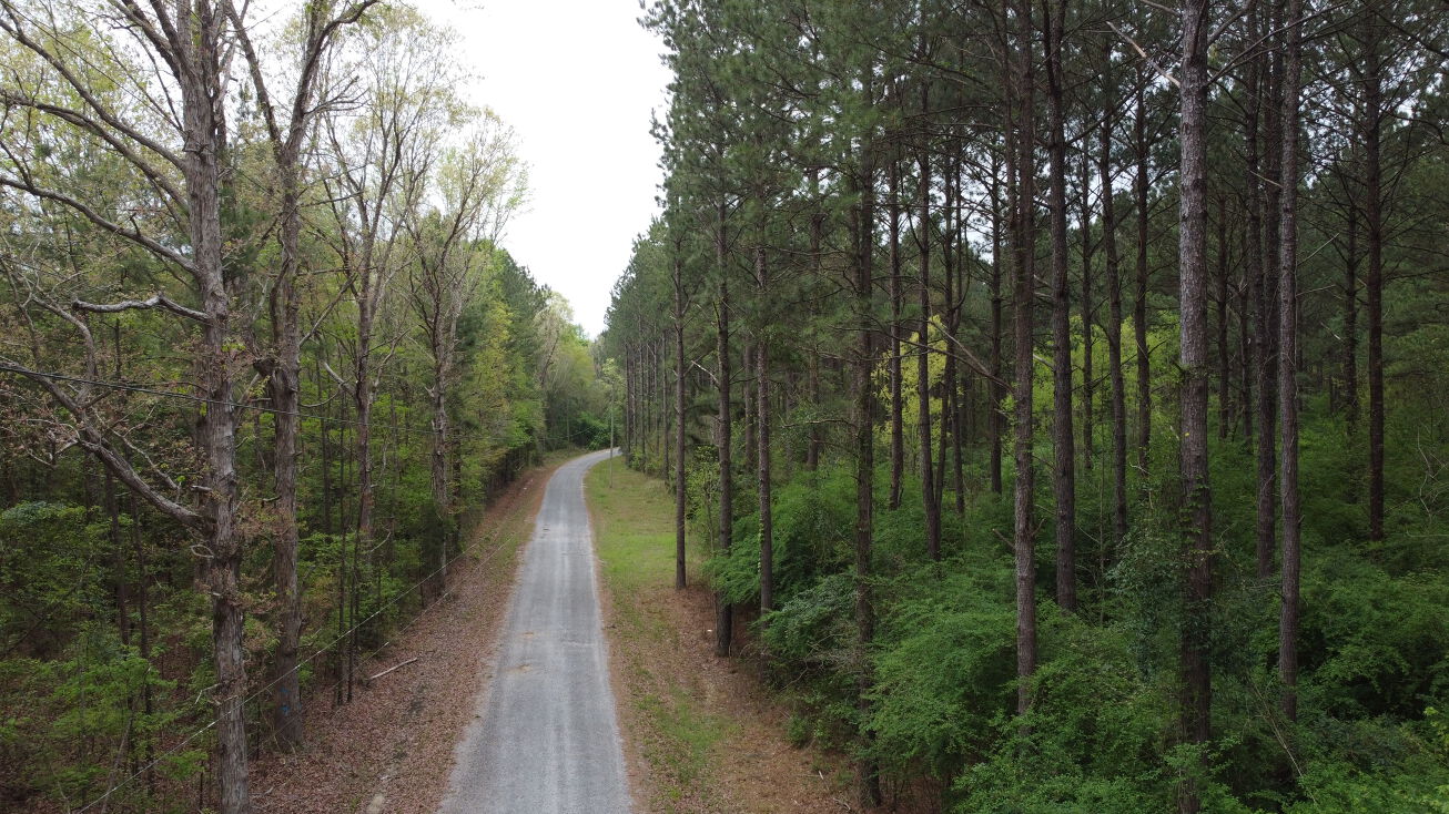 Beat 4 Tract, Buckatunna, MS 39322