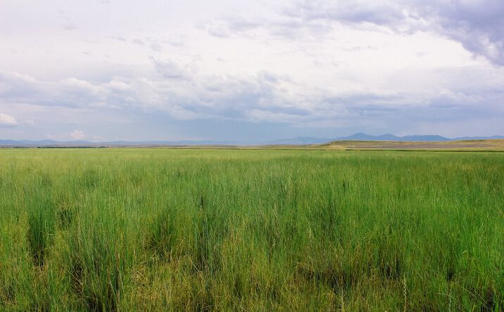 Pictures of Land property located at Little Muddy Creek Ranch, Cascade, MT 59421 for sales - image #1