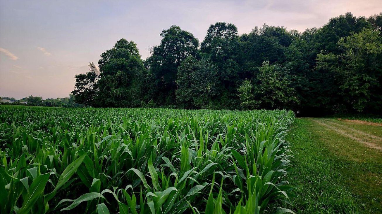 0 Knorr Road Lot 4, Galion, OH 44833