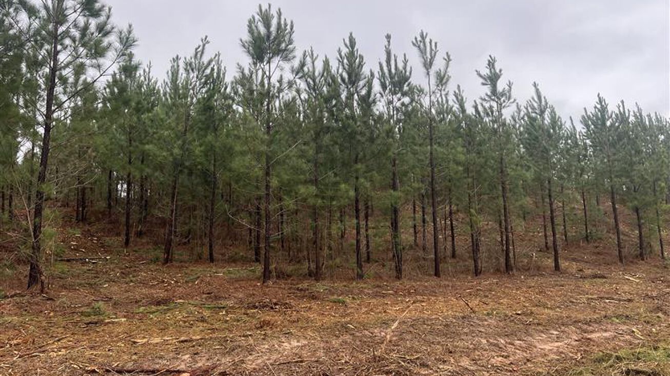 Goshen Road Farms, Thomaston, GA 30286