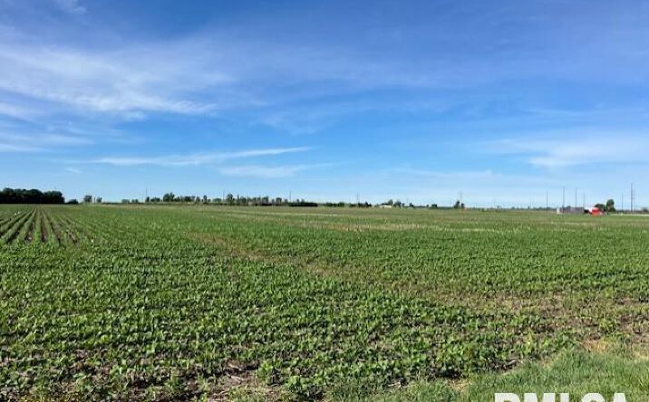 Pictures of Land property located at W 11TH Avenue, Monmouth, IL 61462 for sales - image #1