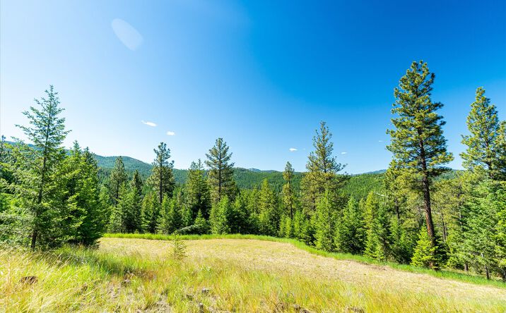 Pictures of Land property located at 781 Springhill Road, Kila, MT 59920 for sales - image #1
