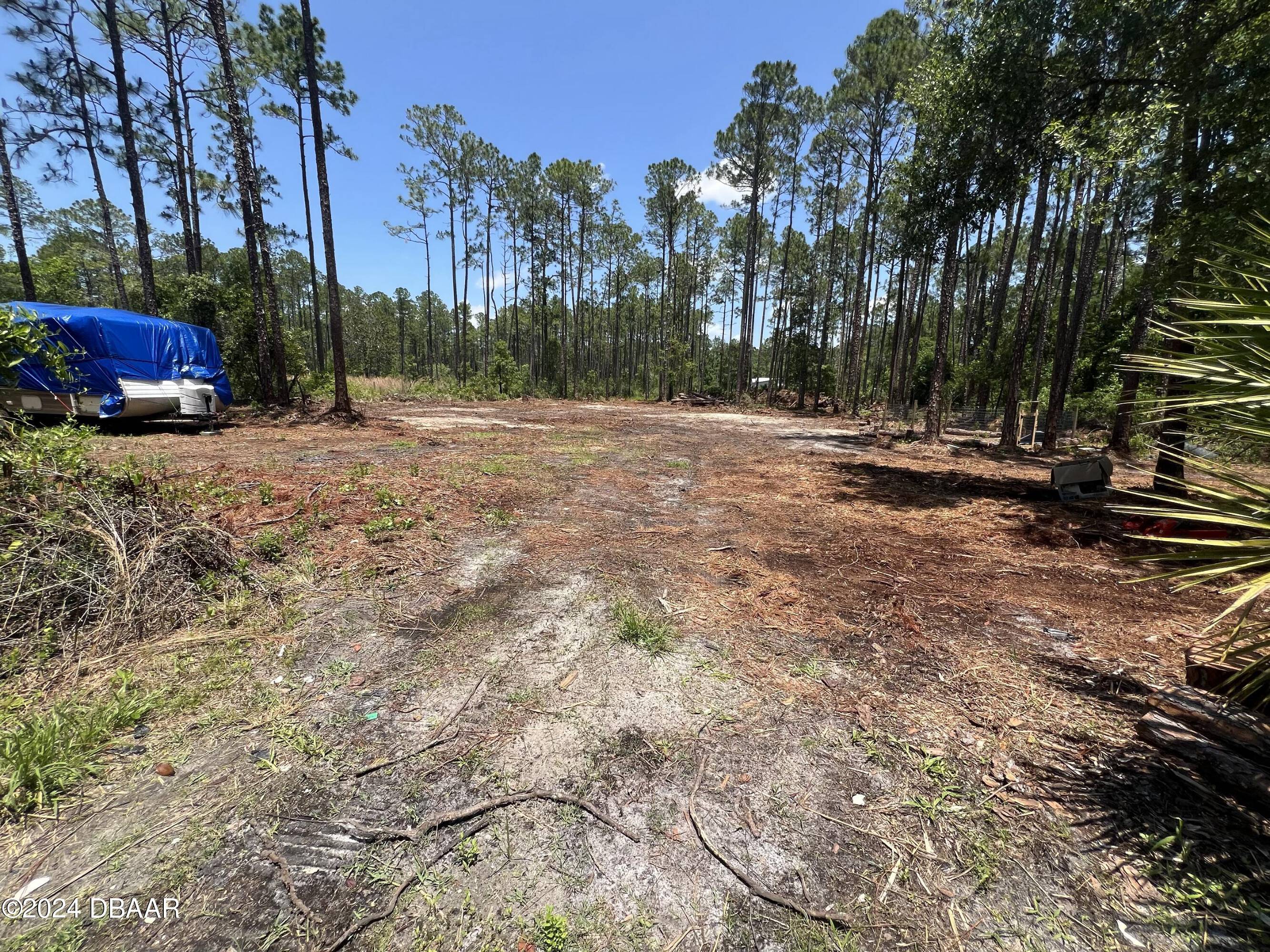5356 Nutwood Ave, Bunnell, FL 32110