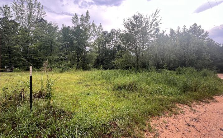 Pictures of Land property located at 0 Black Cherry Road, Hattiesburg, MS 39401 for sales - image #1