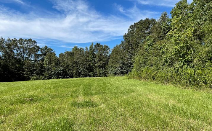 Pictures of Land property located at NHN Ceasar rd, Carriere, MS 39466 for sales - image #1