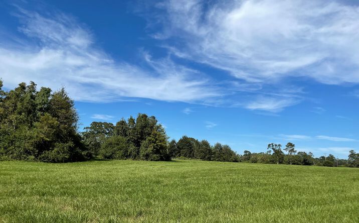 Pictures of Land property located at NHN Ceasar Rd, Carriere, MS 39426 for sales - image #1
