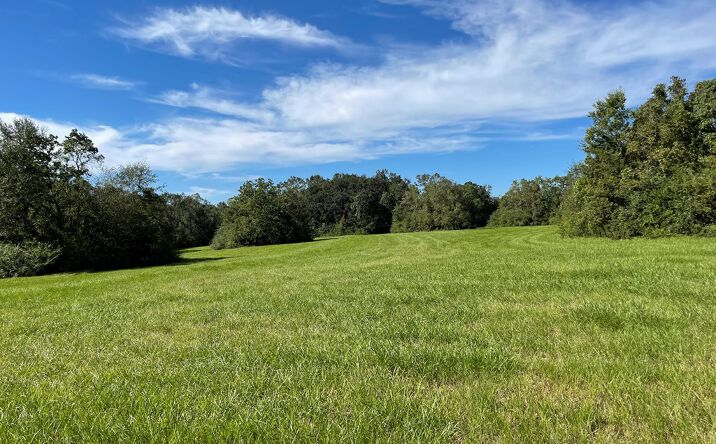 Pictures of Land property located at Lot 2 Ceasar Rd, Carriere, MS 39426 for sales - image #1