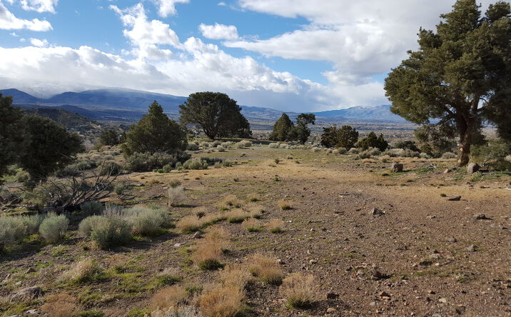 Pictures of Land property located at Toll Rd, Reno, NV 89521 for comps - image #1