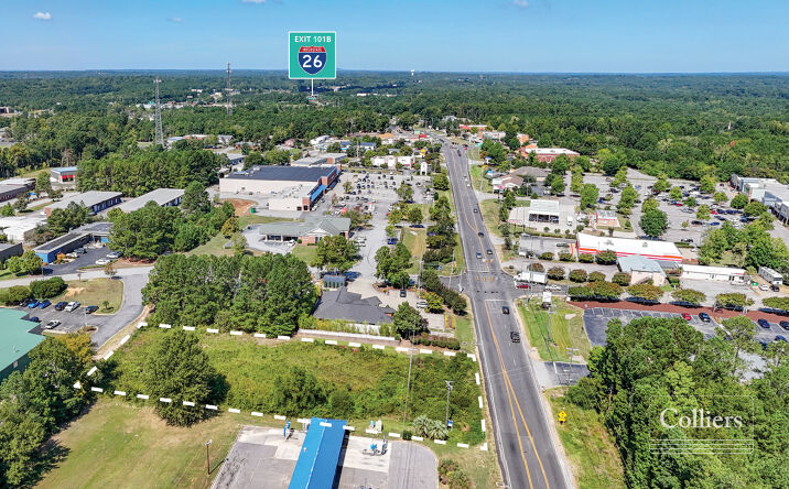 Pictures of Land property located at 7201 Broad River Rd, Irmo, SC 29063 for sales - image #1