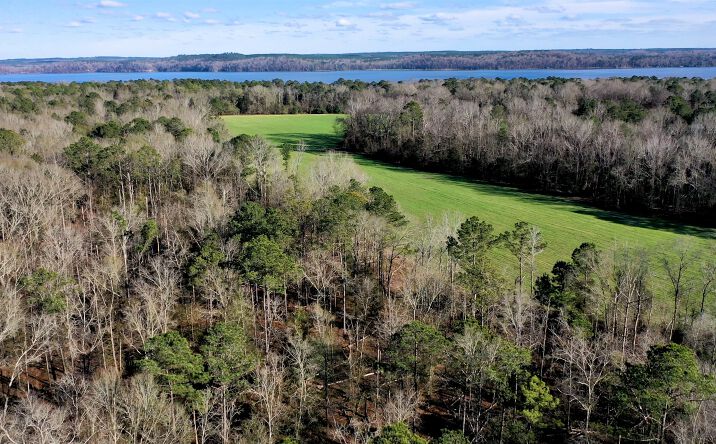 Pictures of Land property located at N Eufaula Ave, Eufaula, AL 36027 for sales - image #1