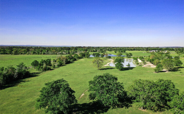 Pictures of Land property located at 661 B FM 2550, Huntsville, TX 77320 for sales - image #1