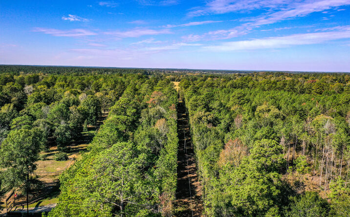 Pictures of Land property located at Tract 2 FM 405, Huntsville, TX 77340 for sales - image #1