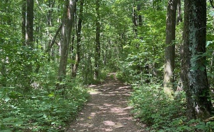 Pictures of Land property located at 0 Burnt Mountain Rd, Dawsonville, GA 30534 for sales - image #1