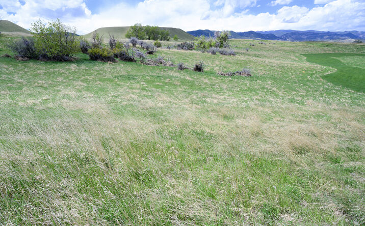 Pictures of Land property located at Horseshoe Mdw Ln, Buffalo, WY 82834 for sales - image #1