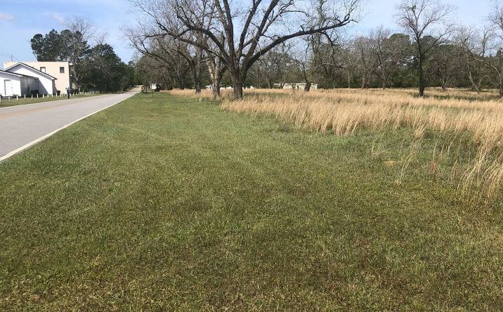 Pictures of Land property located at 0 Old Dublin Road, Claxton, GA 30417 for sales - image #1