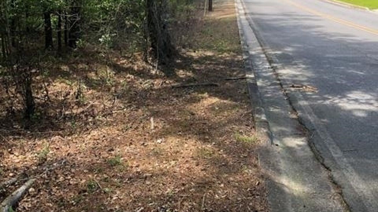 0 Pine St, Claxton, GA 30417