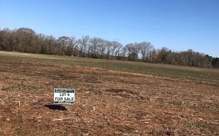 Pictures of Land property located at 0 Sinkhole Rd, Register, GA 30452 for sales - image #1
