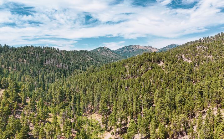Pictures of Land property located at NHN Upper Andy Creek Lane, Cascade, MT 59421 for sales - image #1