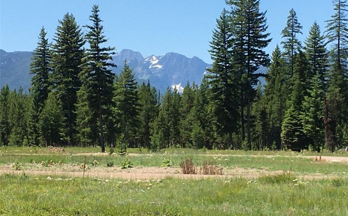 Pictures of Land property located at 173 Mission Vista Lane, Swan Valley, MT 59826 for sales - image #1