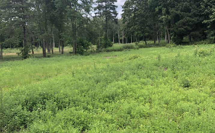 Pictures of Land property located at 276 N Plank Rd, Newburgh, NY 12550 for sales - image #1