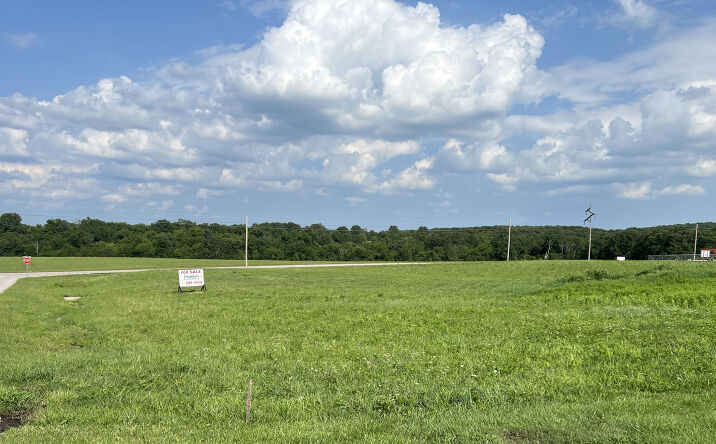 Pictures of Land property located at 1400 Block Thomasville Road, Houston, MO 65483 for sales - image #1