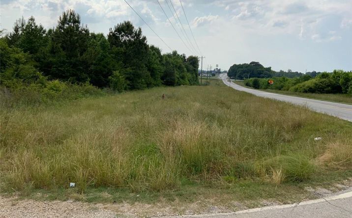 Pictures of Land, Mixed Use property located at 0 Highway 51 and Owl Hollow Rd, Carnesville, GA 30521 for sales - image #1
