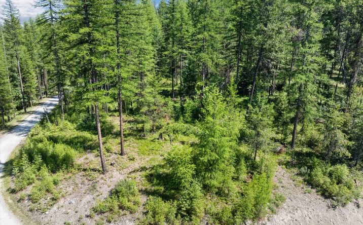 Pictures of Land property located at NHN Hutchens Lane, Whitefish, MT 59937 for sales - image #1