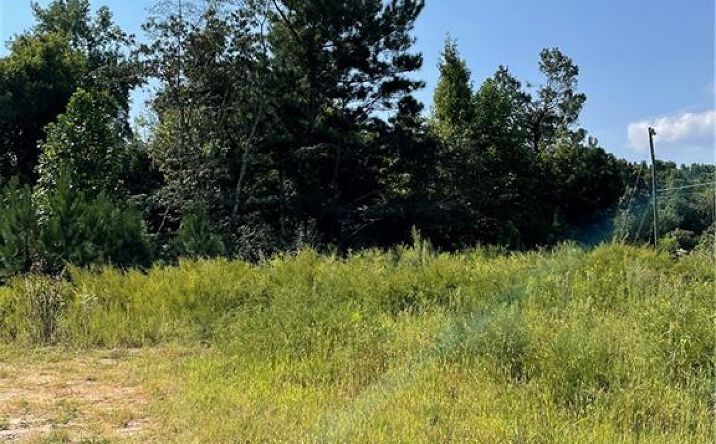 Pictures of Land property located at 2056 Holly Court, Cumming, GA 30041 for sales - image #1