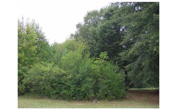 Pictures of Land property located at 0 ROSEBUD Road Unit 5.0, Loganville, GA 30052 for sales - image #1