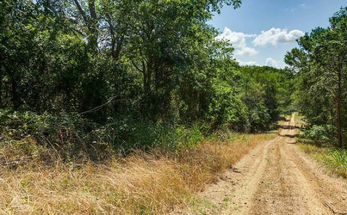 Pictures of Land property located at Lot 649 Kaukonahua Lane, Bastrop, TX 78602 for sales - image #1