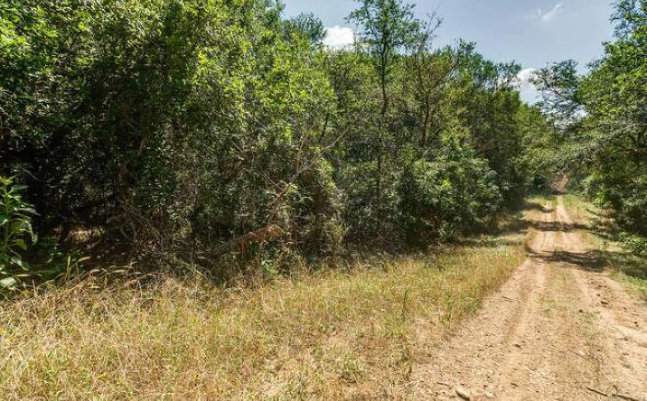 Pictures of Land property located at Lot 650 Kaukonahua Lane, Bastrop, TX 78602 for sales - image #1