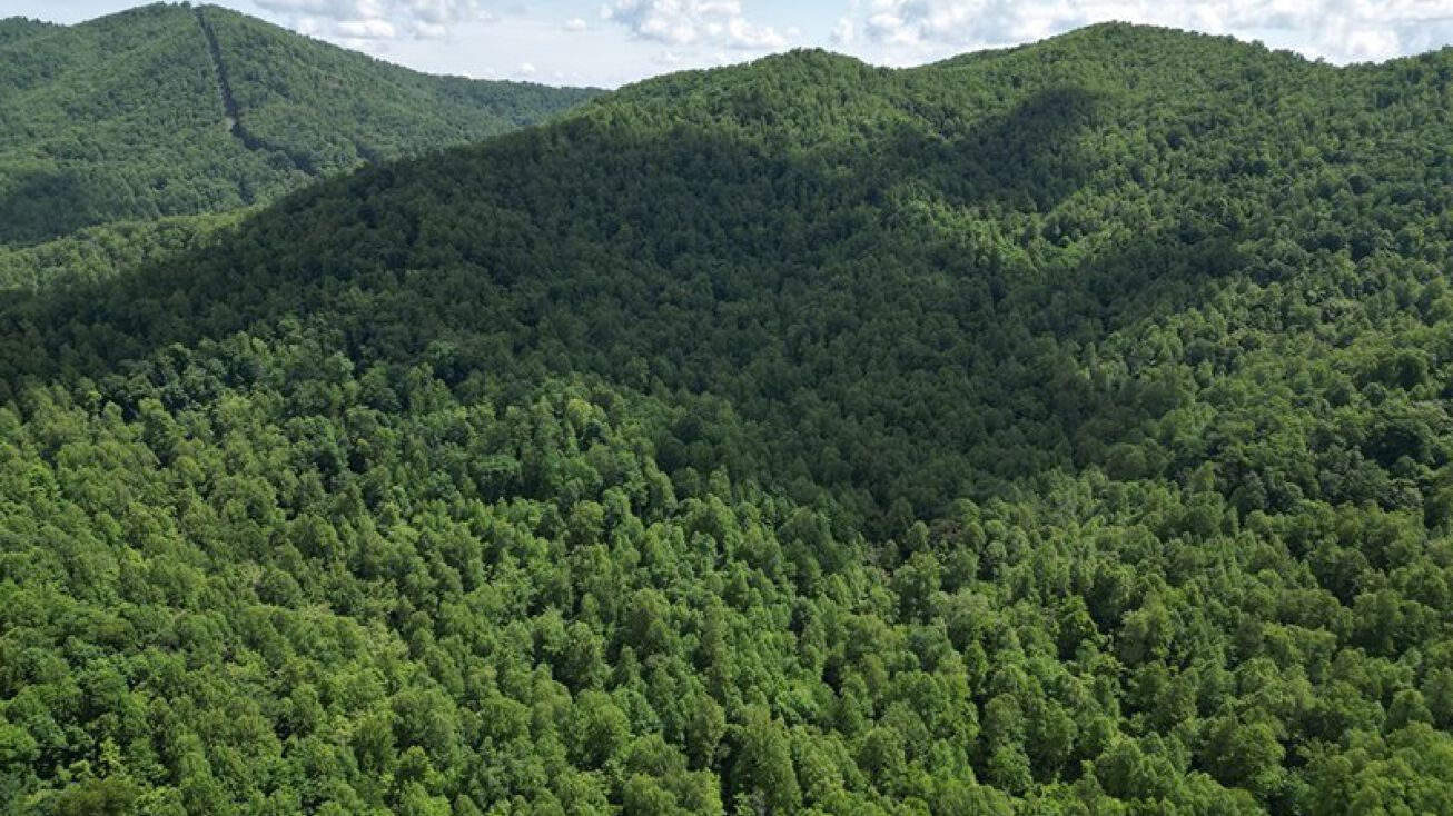 Old Roberts Mountain Rd, Covesville, VA 22931