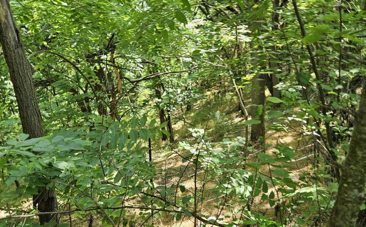 Pictures of Land property located at Mossy Creek Rd, Mount Solon, VA 22843 for sales - image #1