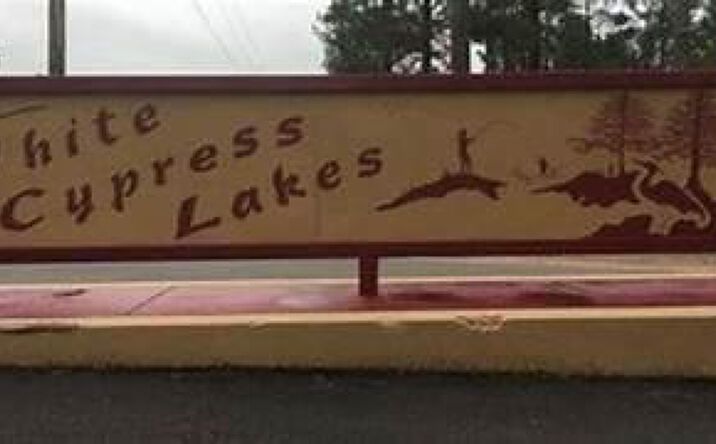 Pictures of Land property located at Lot 49 Quail Ridge Ph 1, Perkinston, MS 39573 for sales - image #1