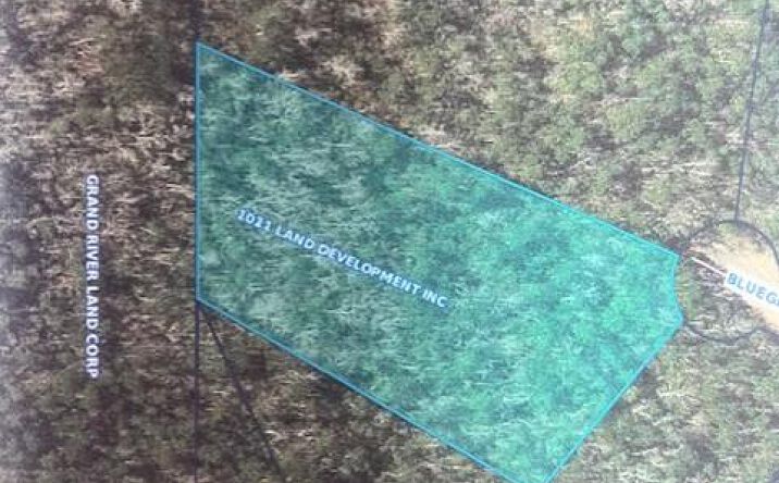 Pictures of Land property located at NHN Quail Ridge Ph 2 Lots 71, 72,73 Bluegill Point, Perkinston, MS 39573 for sales - image #1