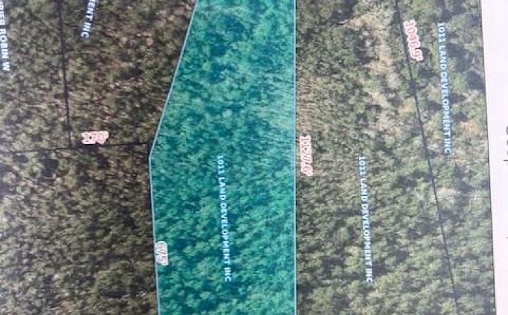 Pictures of Land property located at Lots 10,11,12 Mallard Point Ph 2, Perkinston, MS 39573 for sales - image #1
