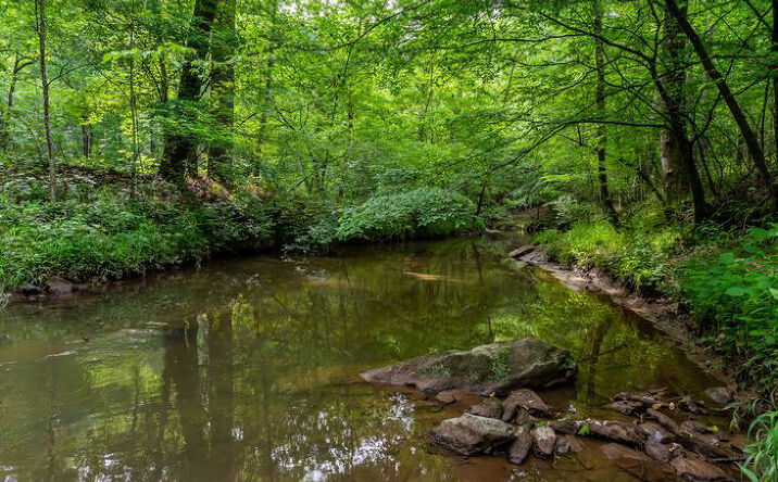 Pictures of Land, Industrial property located at 4.5 AC Hickory Flat Rd., Woodstock, GA 30188 for sales - image #1