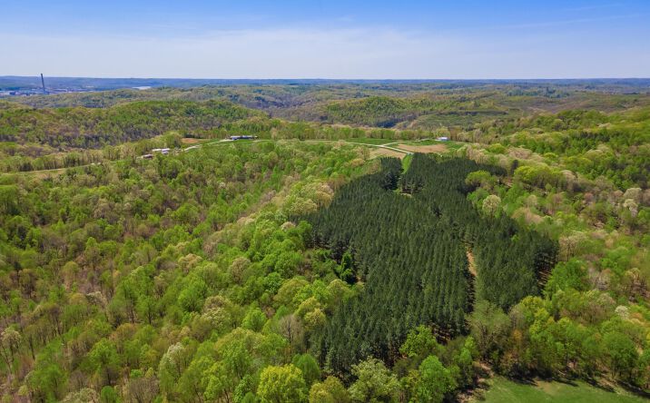 Pictures of Land property located at 0 Eaton Road, Portland, OH 45770 for sales - image #1