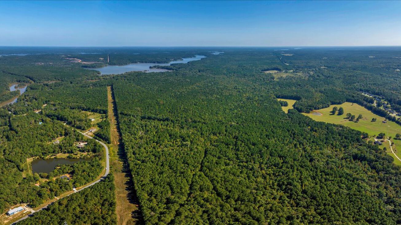 Heidi Trail, Buckhead, GA 30625