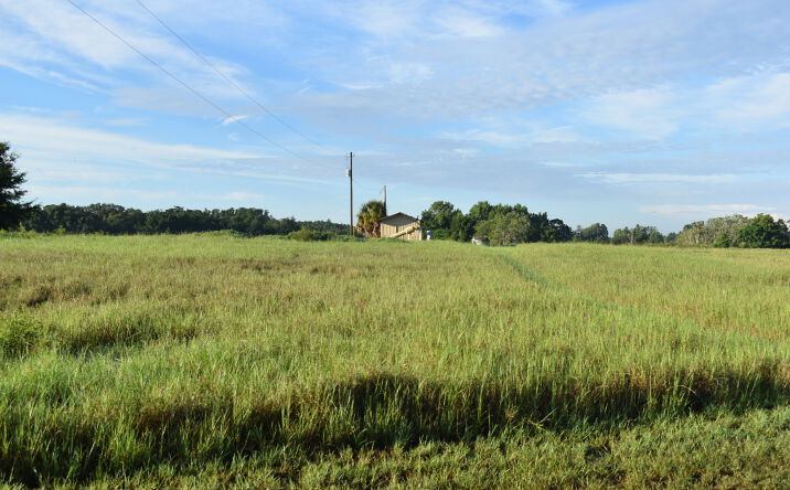 Pictures of Land property located at 0 CR 33, Groveland, FL 34736 for sales - image #1