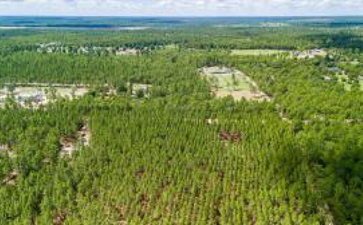 Pictures of Land property located at 0 Pine Acres Road, Windsor, SC 29856 for sales - image #1