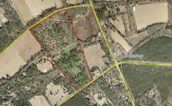 Pictures of Land property located at 0000 Parcel 1- Arcola Rd, Wagener, SC 29164 for sales - image #1