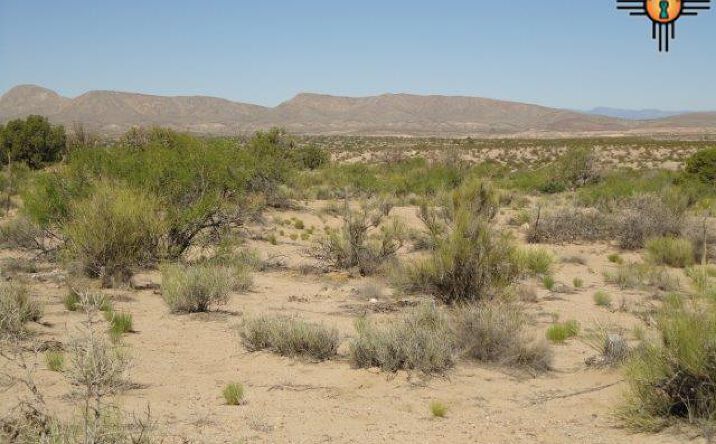 image of property at 310 BLACK RANGE Elephant Butte NM 87935