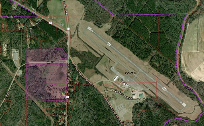 Pictures of Land property located at 1600 Mizell Rd, Tuskegee, AL 36083 for sales - image #1